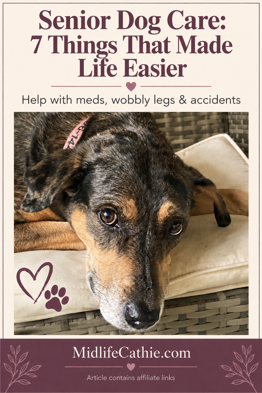 Pinterest pin: Senior Dog Care: 7 Things That Made Life Easier
